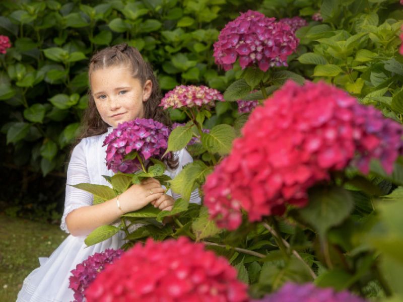 c7ea516e 8d7f 4a9c bf34 fed741b66450 1