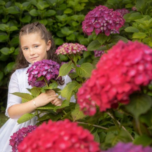 c7ea516e 8d7f 4a9c bf34 fed741b66450 1